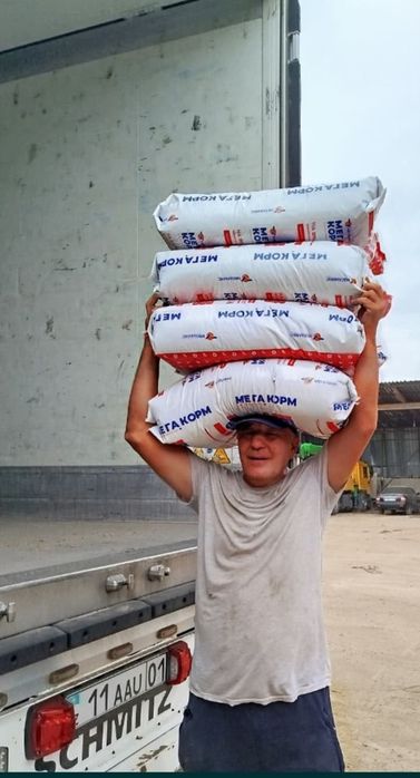 Услуги Грузчиков Алматы