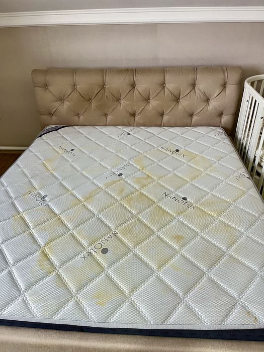 Химчистка мягкой мебели