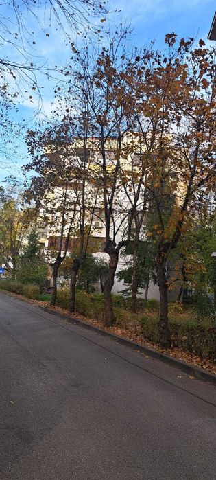 Apartament 3 camere in bloc deosebit - fara bulina,Aleea Parcului