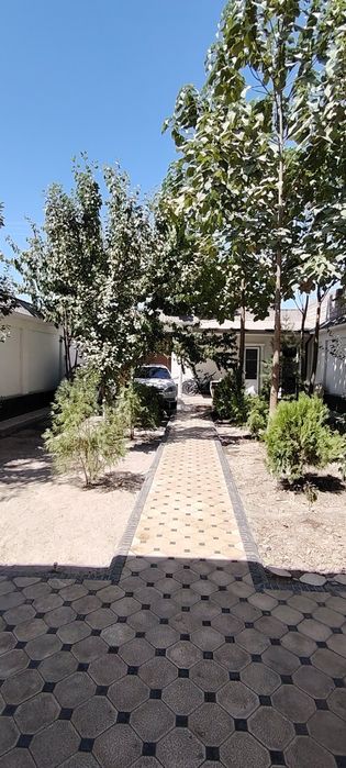 Янги Хаёт тумани