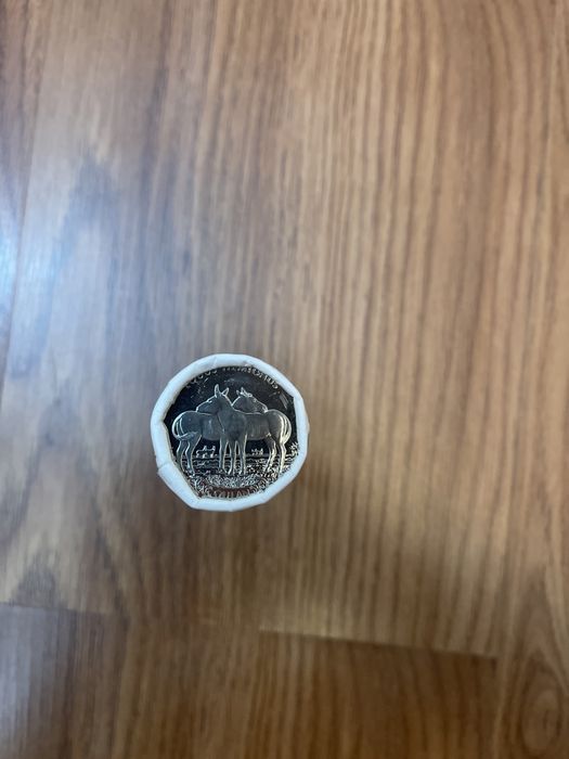 Монеты Кулан в ролле