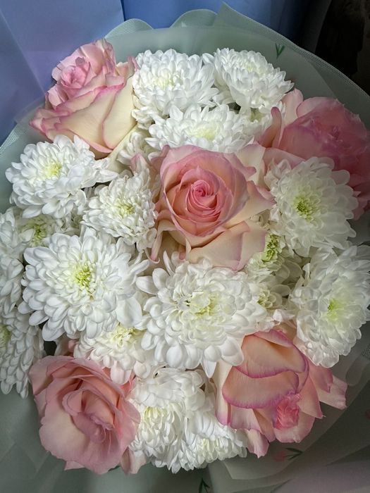 Цветы Атырау новые срочно