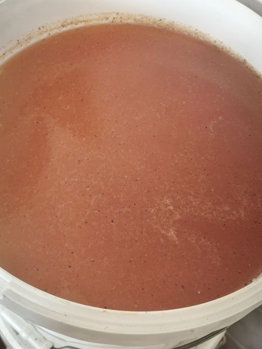 Продам мед горный только оптом ВКО