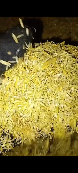 Отходы Отходы овёс мучной дост