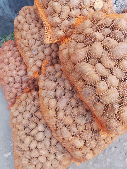 Cartofi pentru animale