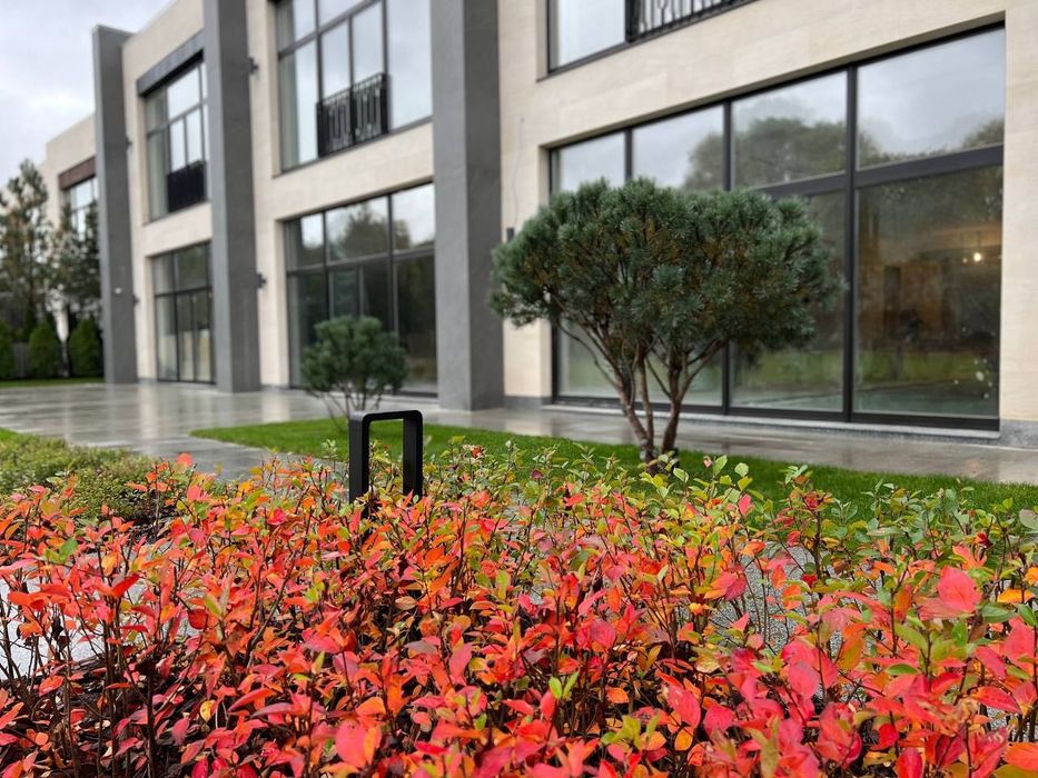 Озеленение | газон | автополив