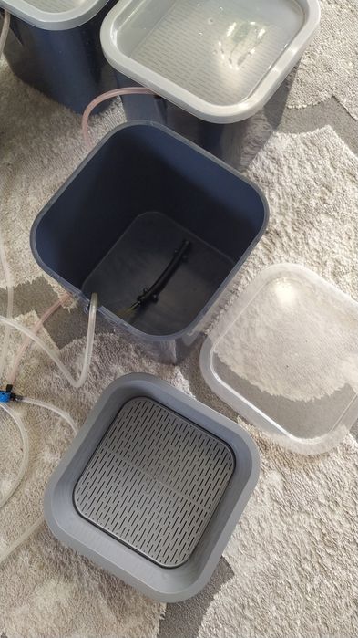 Проращиватель семян, микрозелень