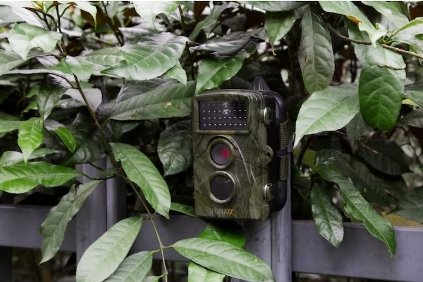 Камера за диви животни Technaxx TX-69