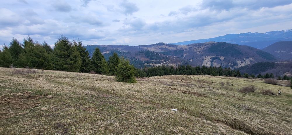 terenuri de vanzare, INDIVIDUAL SAU TOATE LA UN LOC, situate în Lupșa
