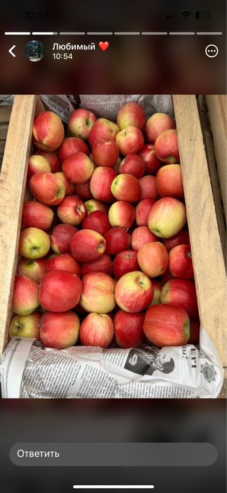 Апорт груша кандиль американка яблоки