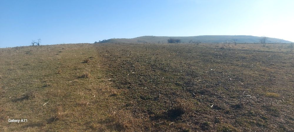 Teren în oraș, zonă în plină dezvoltare