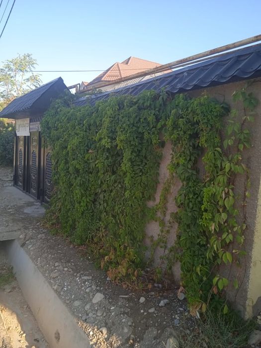 Недвижимость дом