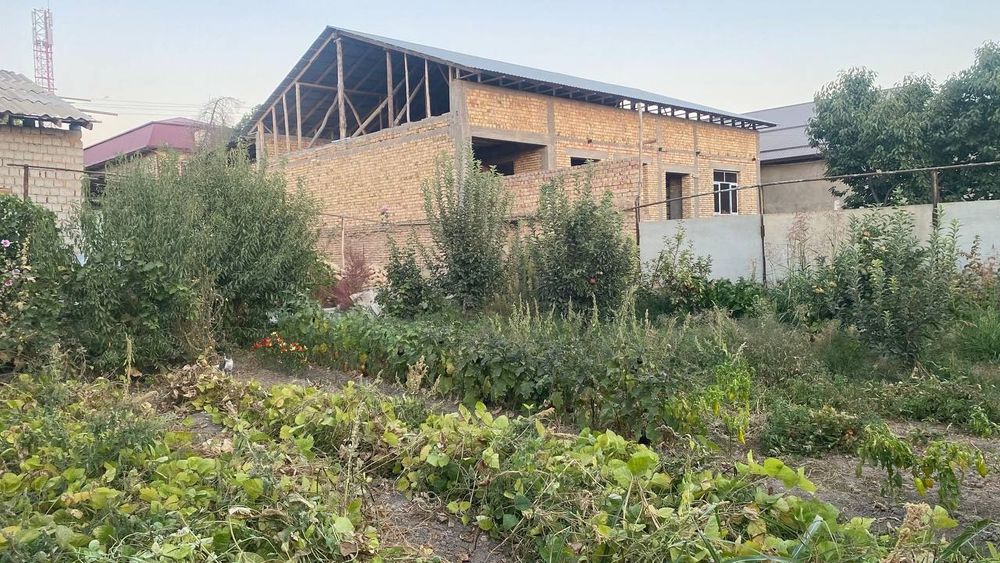 Uchastka 3 sotix sotiladi uzumzorda