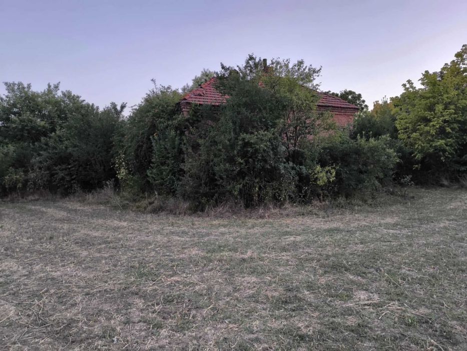 Продава се Парцел в с. Якимово, Област Монтана - 3100 кв.м за 2 €/кв.м - Снимка #2