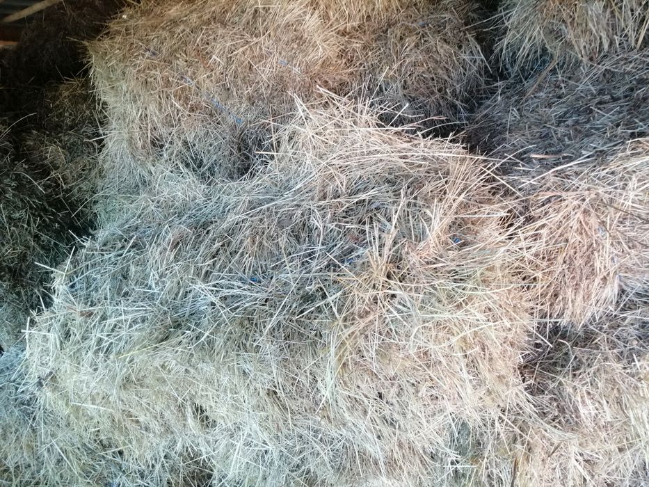 Baloti de fan, de vanzare