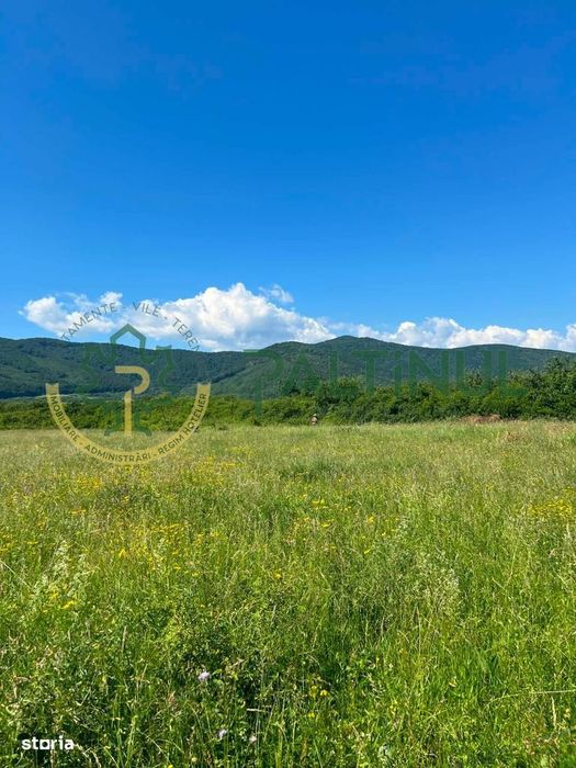 Teren extravilan in Poplaca, Sibiu
