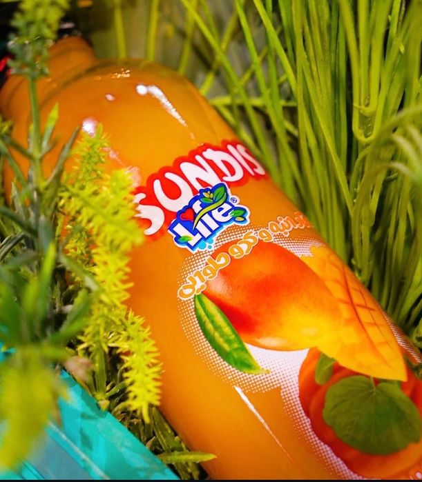 Натуральные соки SUNDIS