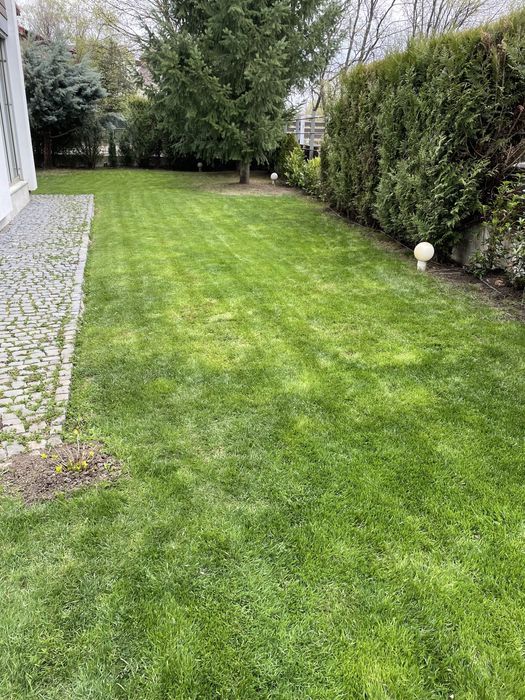 Amenajari spati verzi , intretinere si ingrijire Gradini !!!