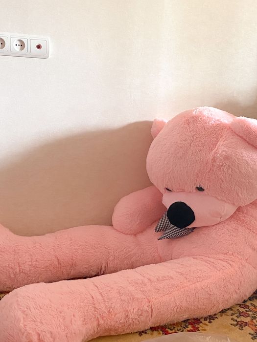 Плюшевый мишка ростом 2 метра