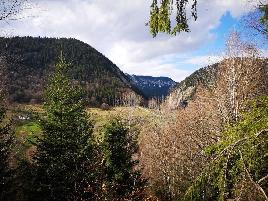 Teren intravilan cu PUZ sat Pestera - Moieciu - 4000 mp (apa, gaz, curent)