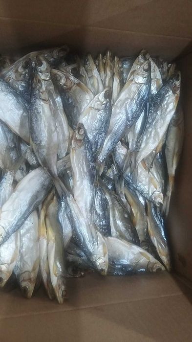 Копчёная рыба  пелядь боровое