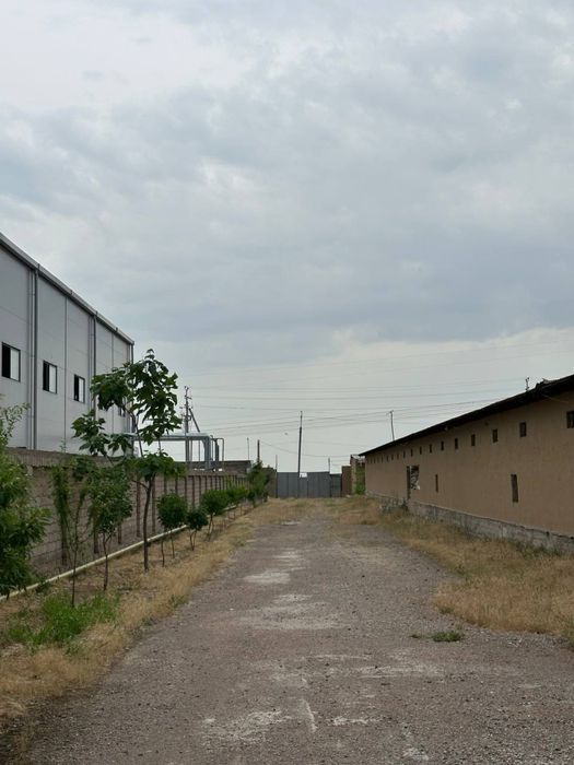 здается в аренду помещения тысячи квадратов