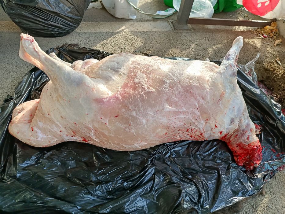 Кассоб- Qassob service hizmati