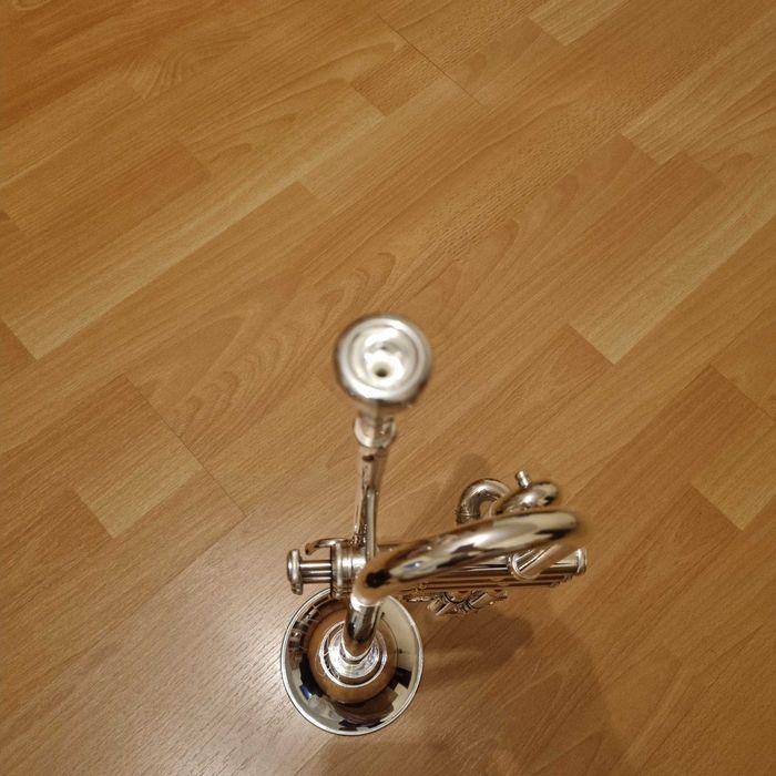 Vând trompeta Thomann TR 500 S Bb