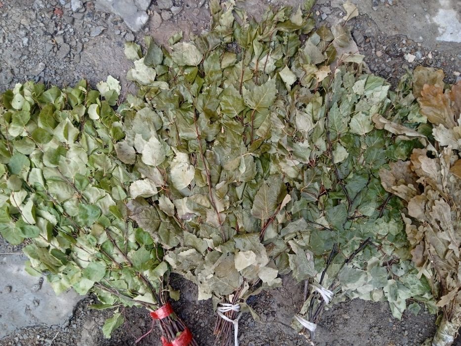 Банные веники для бани