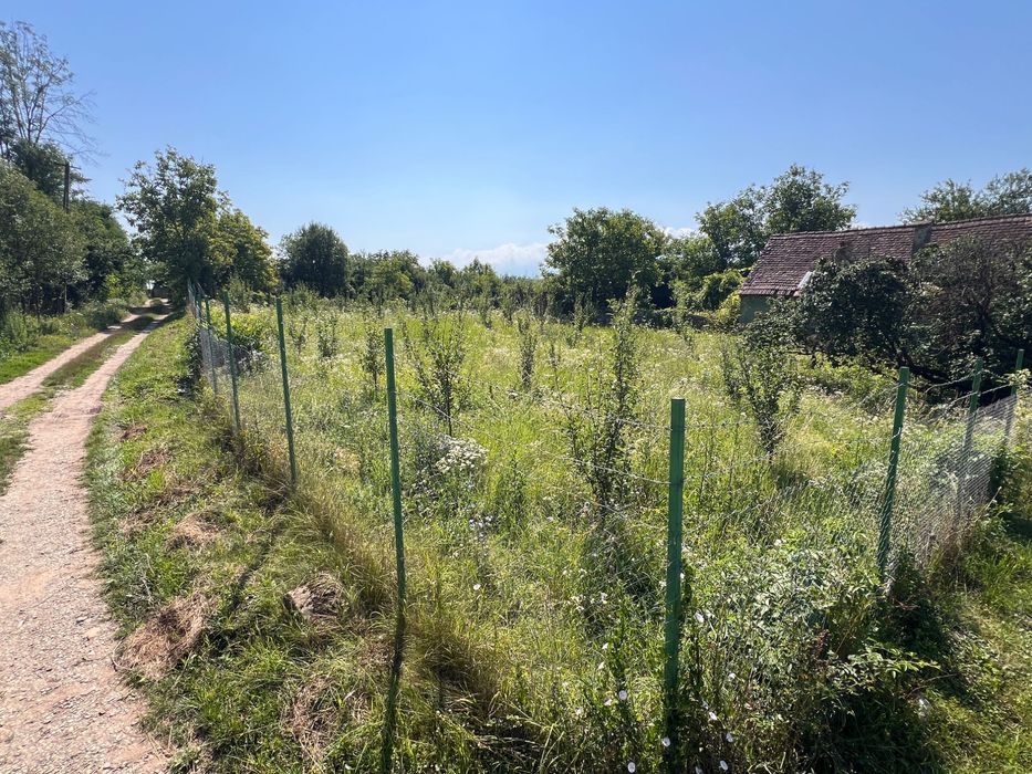 Teren intravilan Colun