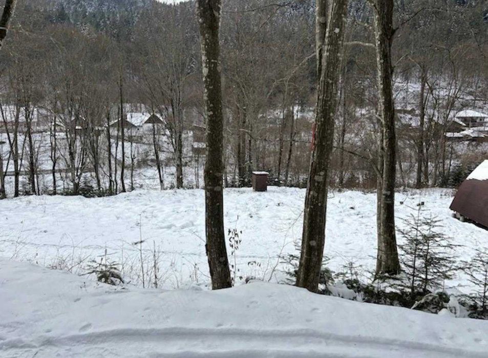 Teren munte, Brates- Tarcau- Piatra Neamt, teren cu o cabanuta