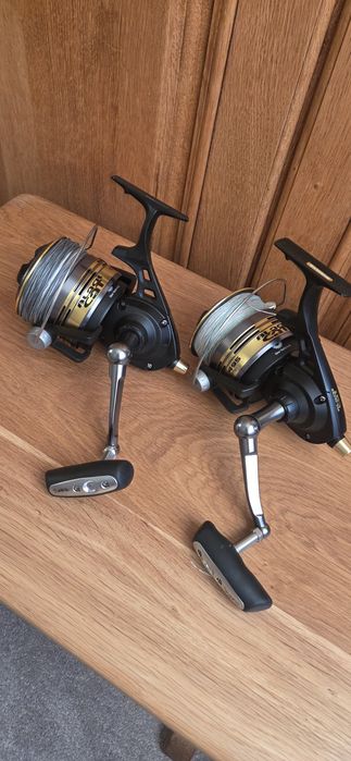 Black cat extreme 495