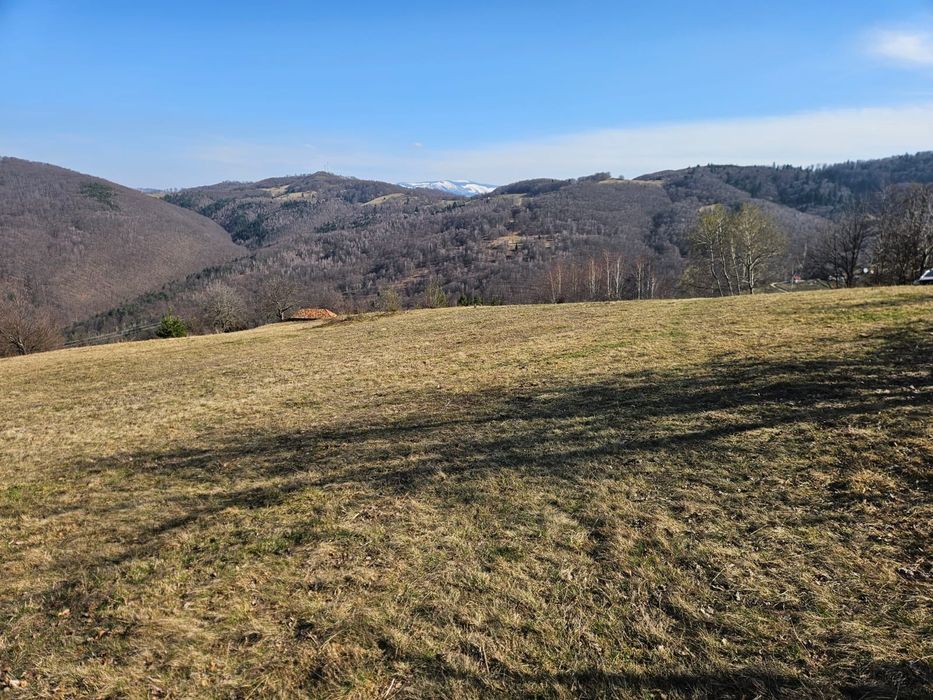 Teren intravilan de vanzare Damis