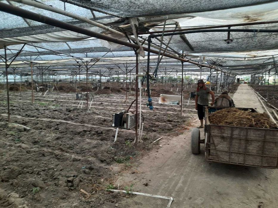 Теплица 0,85 гектар, Сдаю аренду