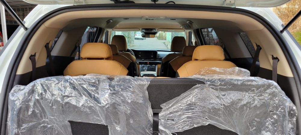 Kia carnival 2021/2022 Своя