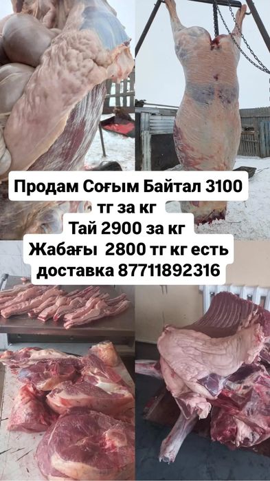 Продам мясо конины