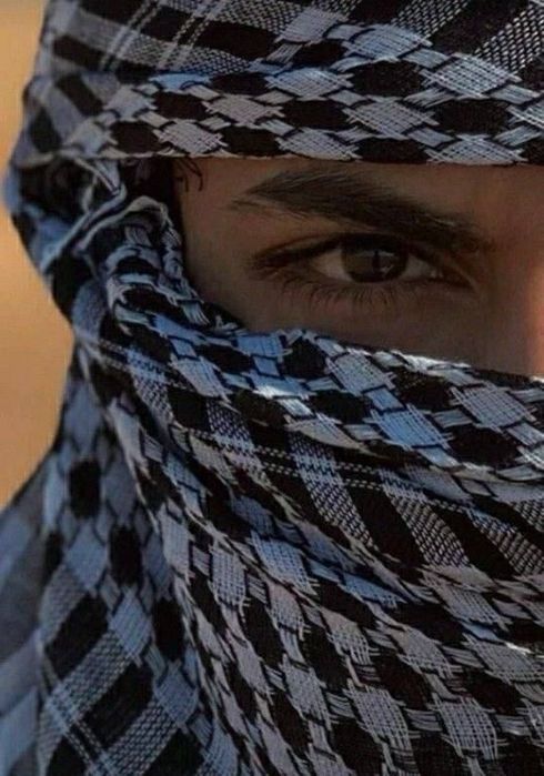 stihl бензопила 3 года гарантия