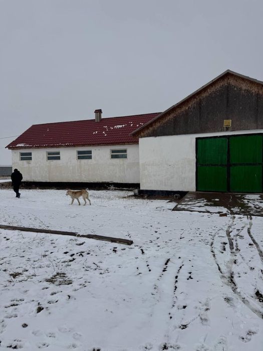 Продам Фазенду(фазенда сатылад)