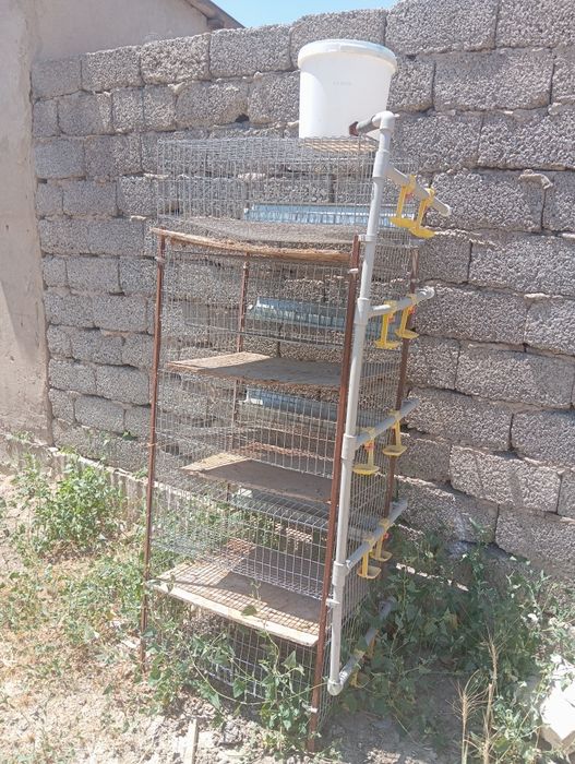 Клетка для перепелов