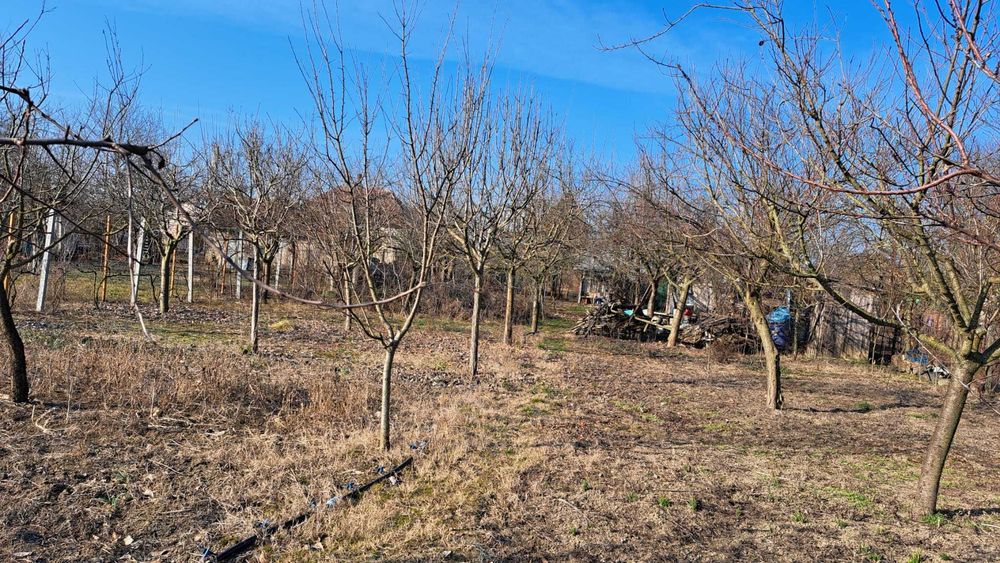 De vânzare loc de casă – Sat Niuved, Comuna Tămășeu