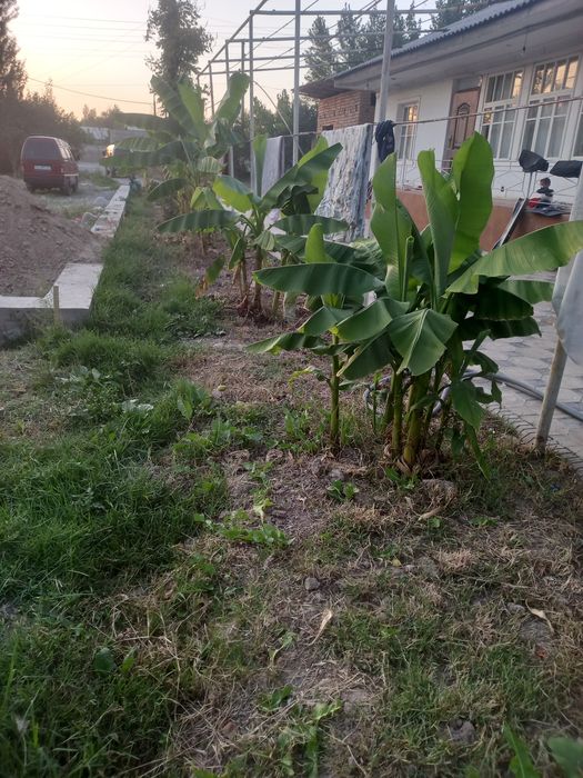 Yer sotiladi. 4sotok yer