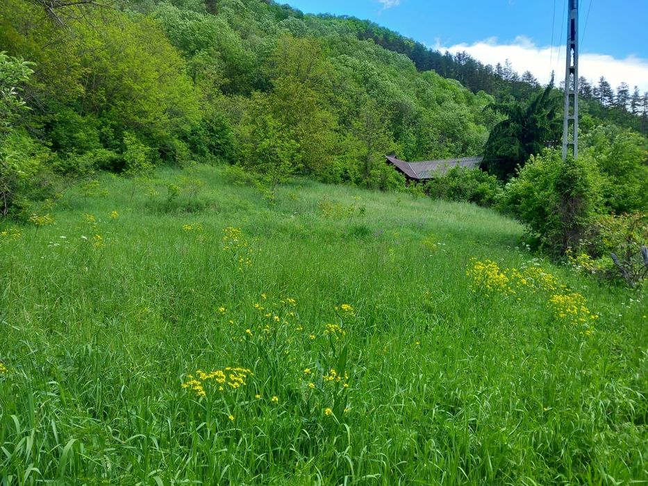 Vand Teren Intravilan Cluj com.Iara sat.Lungesti