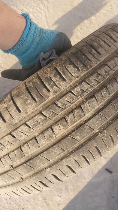 205.55 R16 2штуки