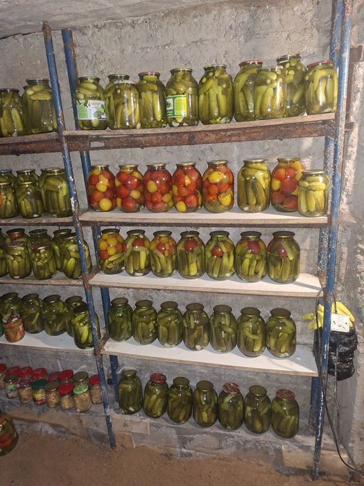 Продам соленья на зиму.