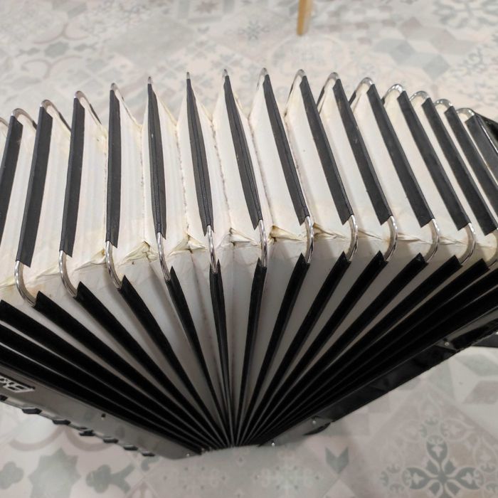 Acordeon BAILE 120basi
