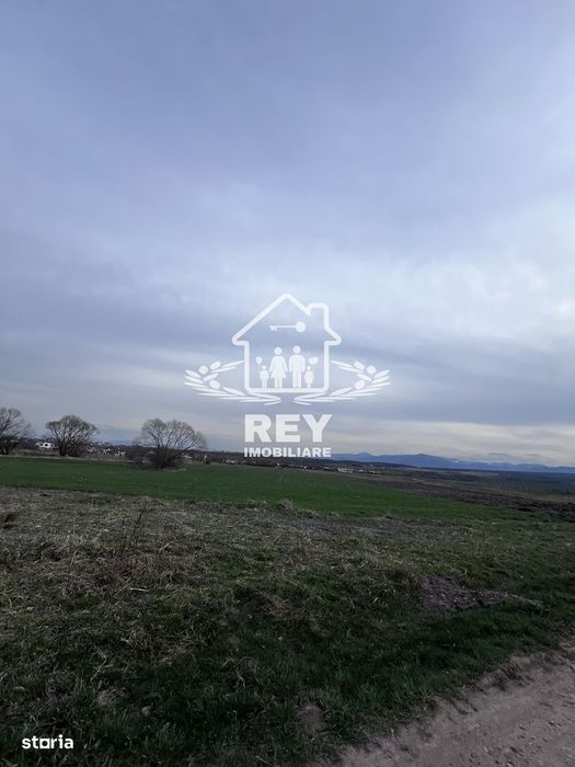 Teren intrevilan de vânzare Turnișor