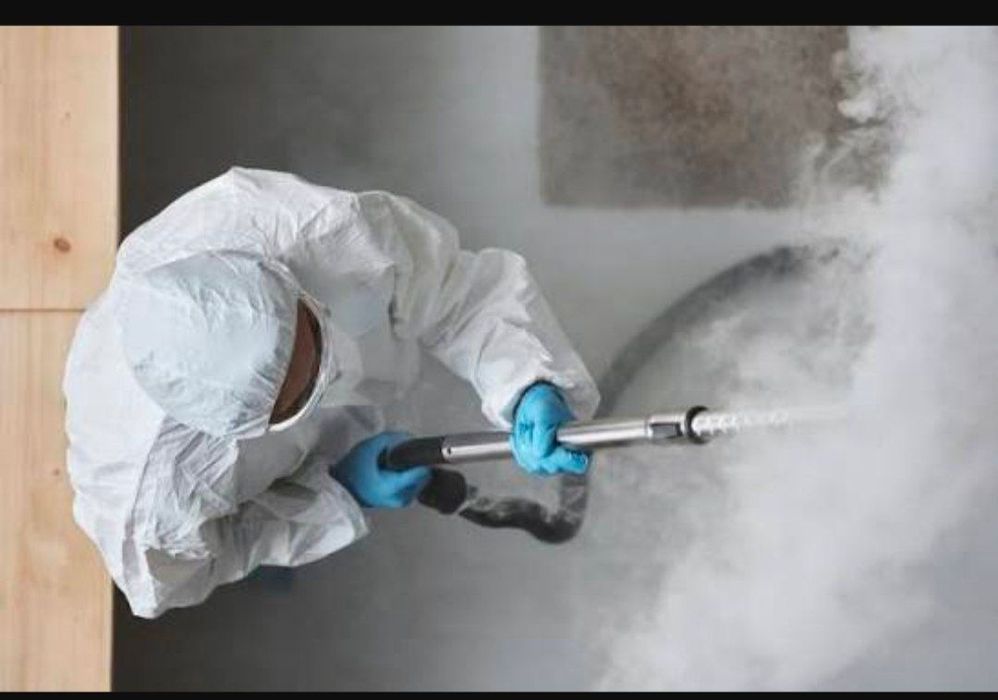 |Дизинфекция| |Дизинсекция| |Дератизация|