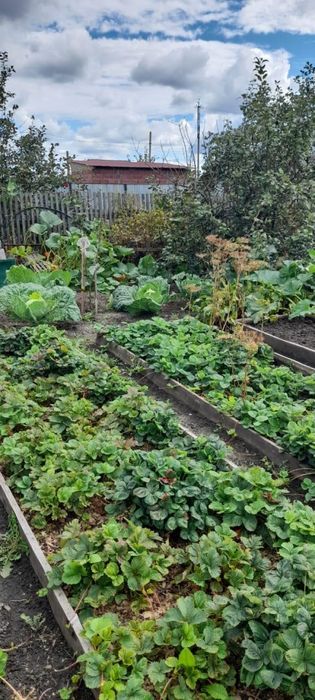 продам дачу в с/о ЛАДА 4 сотки