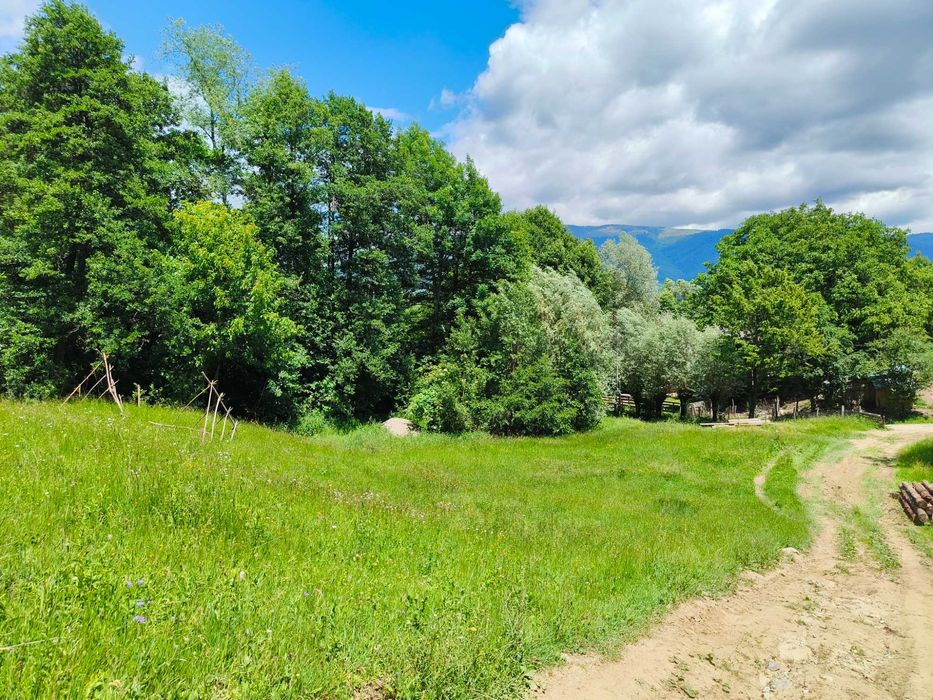 Teren 3.800 mp - Slatina, Nucsoara