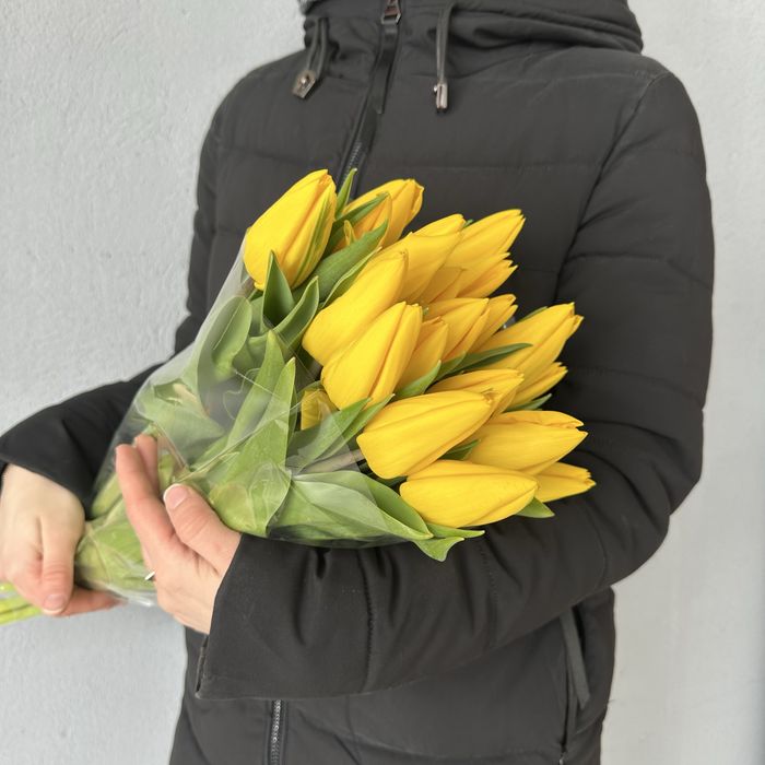 Тюльпаны Кокшетау